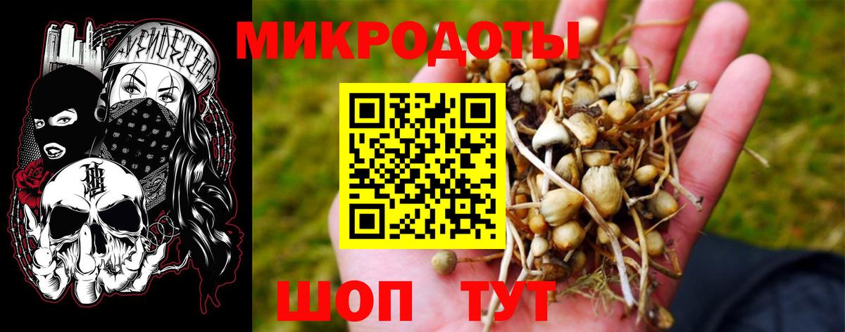 Магнитогорск  Псилоцибиновые грибы Cubensis  Вход с VPN 